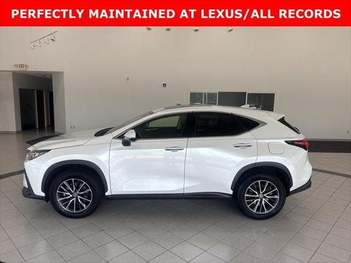 2024 Lexus NX 250 Premium