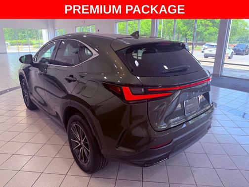 Nori Green Pearl 2024 Lexus NX 250 Premium