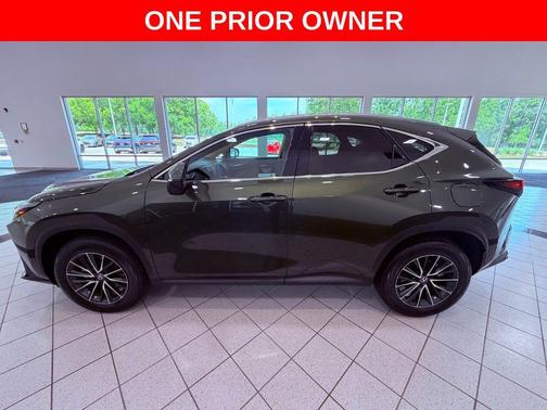 Nori Green Pearl 2024 Lexus NX 250 Premium