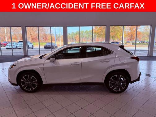 2025 Lexus UX 300h Premium