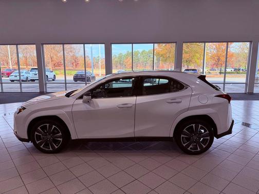 2025 Lexus UX 300h Premium