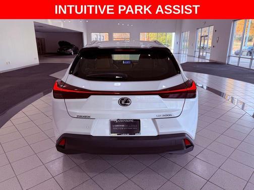 2025 Lexus UX 300h Premium