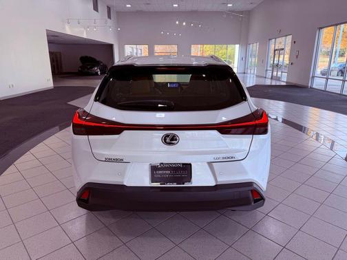 2025 Lexus UX 300h Premium