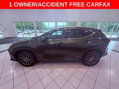 Nori Green Pearl 2024 Lexus NX 350 Premium