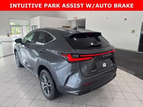 2023 Lexus NX 250 Premium