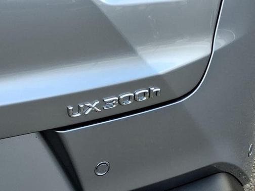 2025 Lexus UX 300h Premium