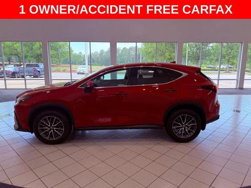 Redline 2025 Lexus NX 250 Premium