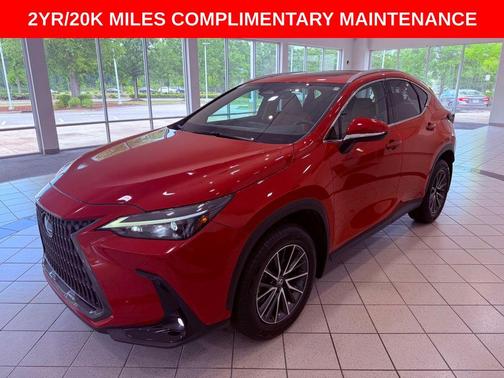 Redline 2025 Lexus NX 250 Premium