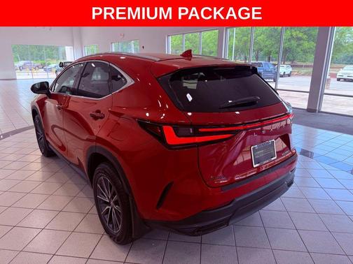 Redline 2025 Lexus NX 250 Premium