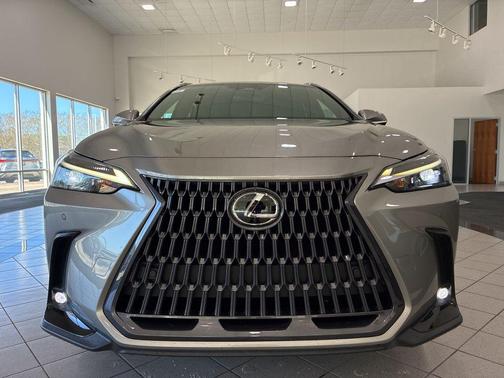 Atomic Silver 2022 Lexus NX 250 Premium
