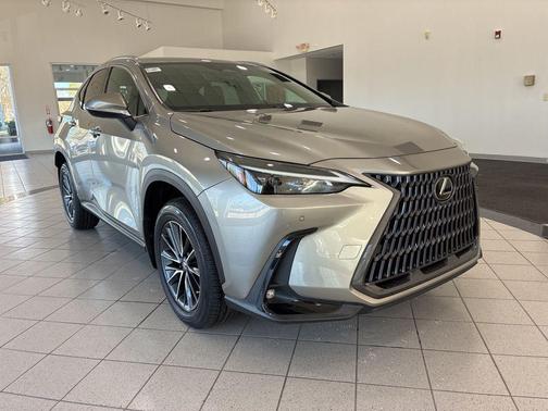 Atomic Silver 2022 Lexus NX 250 Premium