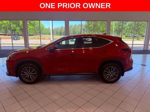 Redline 2025 Lexus NX 250 Premium