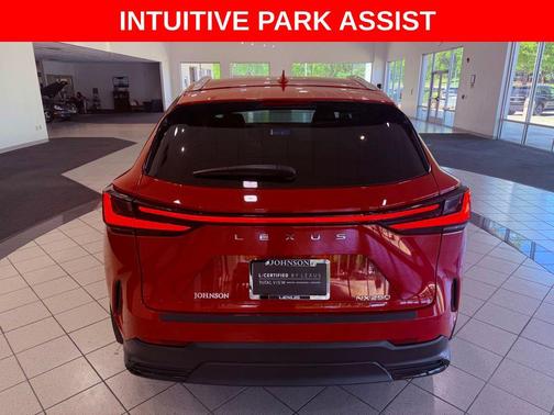 Redline 2025 Lexus NX 250 Premium
