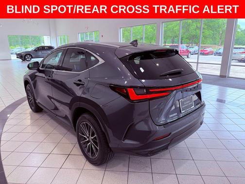 Cloudburst Gray 2025 Lexus NX 250 Premium