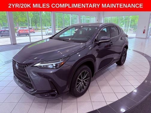 Cloudburst Gray 2025 Lexus NX 250 Premium