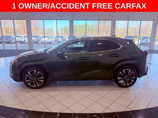 2025 Lexus UX 300h Premium