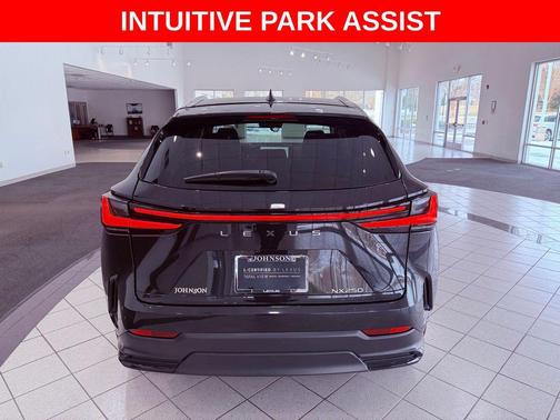 2025 Lexus NX 250 Premium