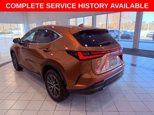 2025 Lexus NX 250 Premium