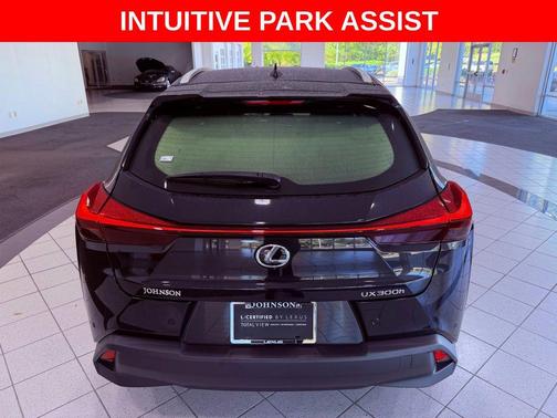 2025 Lexus UX 300h Premium