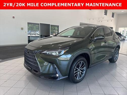 2025 Lexus NX 350h Premium