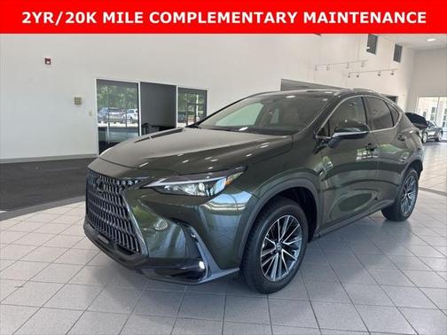 2025 Lexus NX 350h Premium