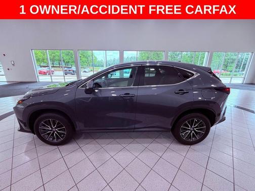 Gray 2024 Lexus NX 250 250 Premium