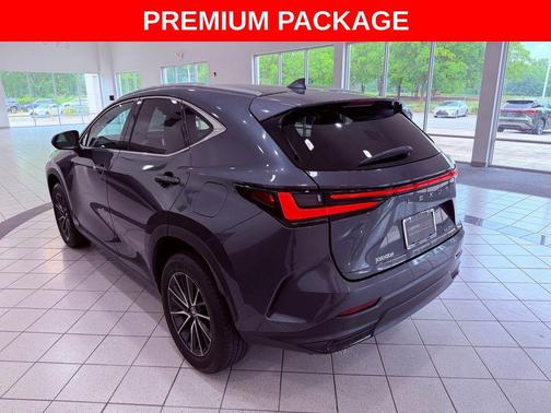 Gray 2024 Lexus NX 250 250 Premium
