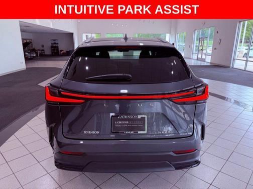 Gray 2024 Lexus NX 250 250 Premium