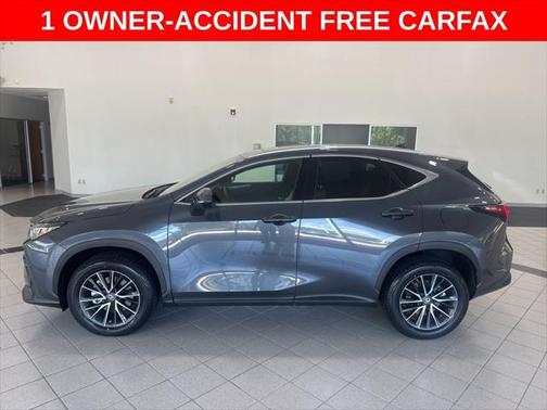 2023 Lexus NX 350 Premium