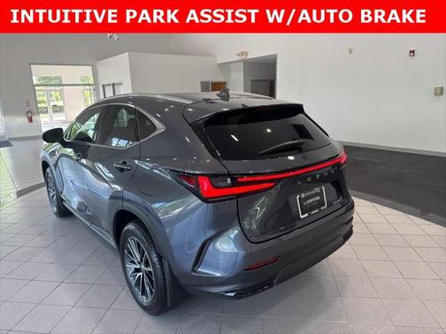 2025 Lexus NX 250 Premium