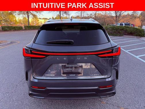 2024 Lexus NX 250 Premium