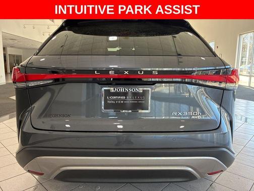 Cloudburst Gray 2024 Lexus RX 350 Premium