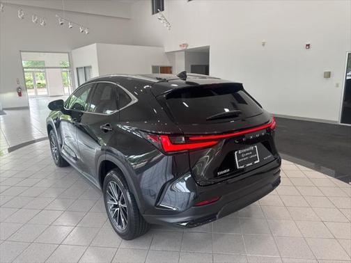 2024 Lexus NX 250 Premium
