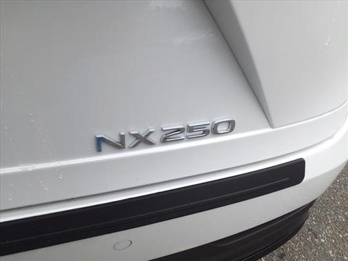 2025 Lexus NX 250 Premium