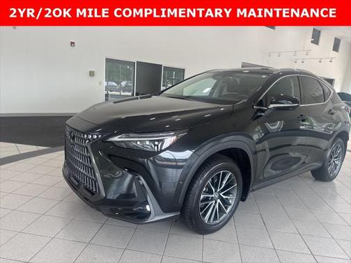 2024 Lexus NX 350h Luxury