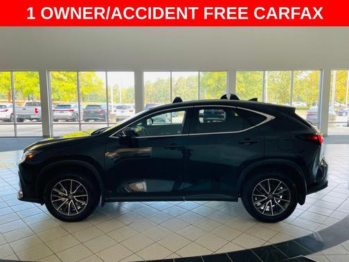2024 Lexus NX 350h Premium