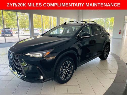 2024 Lexus NX 350h Premium