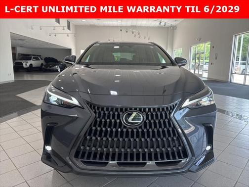 2024 Lexus NX 250 Premium