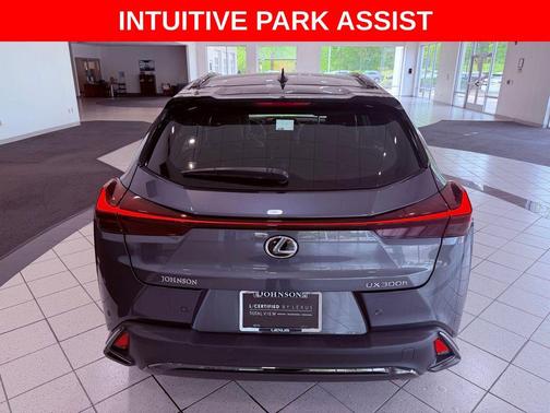 Cloudburst Gray with Obsidian Roof 2025 Lexus UX 300h F SPORT Design