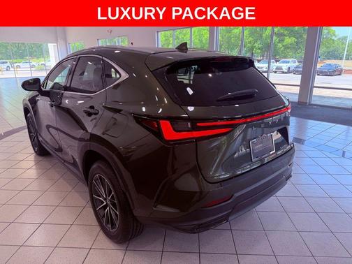 Nori Green Pearl 2025 Lexus NX 350 Luxury
