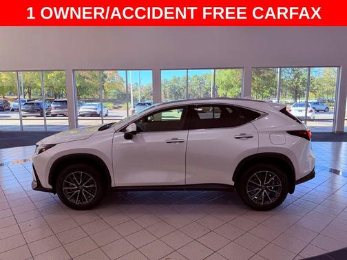 2024 Lexus NX 250 Premium