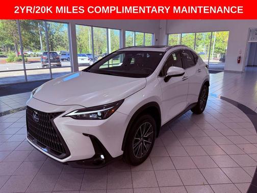 2024 Lexus NX 250 Premium