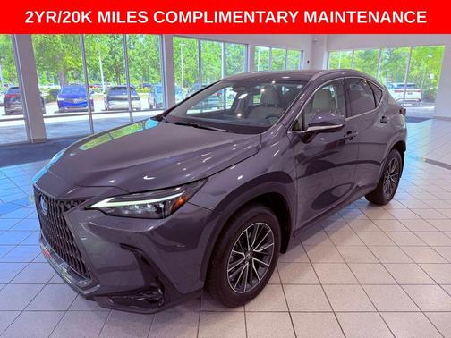 Cloudburst Gray 2025 Lexus NX 350 Luxury