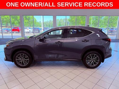 Cloudburst Gray 2025 Lexus NX 350 Luxury