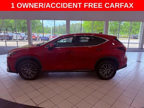 Redline 2025 Lexus NX 250 Premium