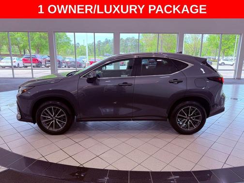Cloudburst Gray 2024 Lexus NX 350h Luxury