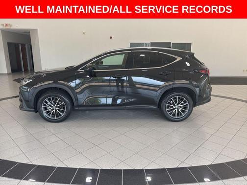 2023 Lexus NX 350 Premium