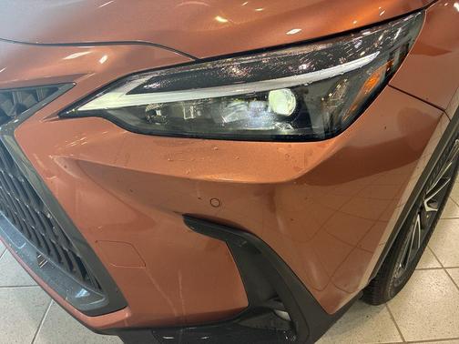 2025 Lexus NX 250 Premium