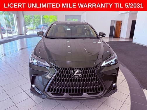 Nori Green Pearl 2025 Lexus NX 250 Premium