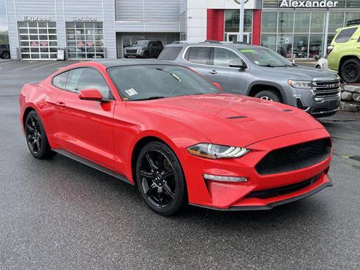 Race Red 2019 Ford Mustang EcoBoost